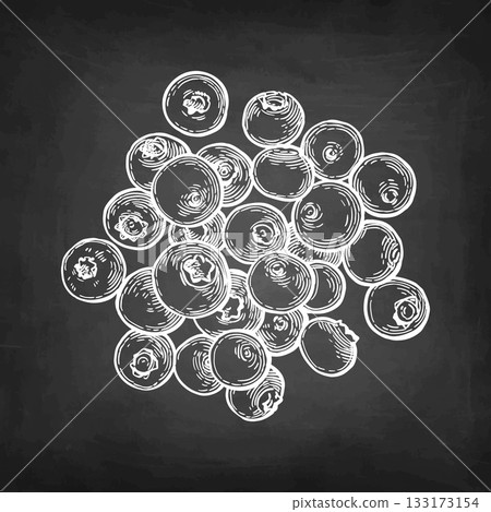 Handful of blueberries chalk sketch. 133173154