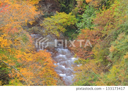 信州松川溪谷高井橋 133173417