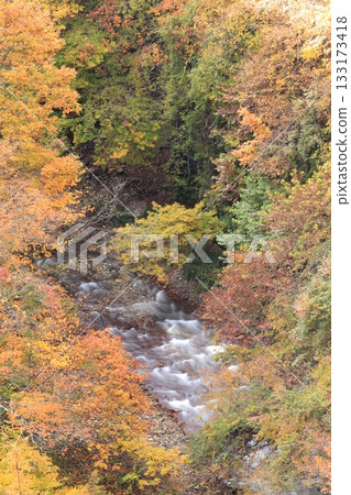 信州松川溪谷高井橋 133173418