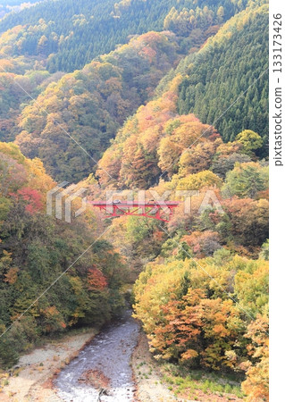 信州松川溪谷高井橋 133173426