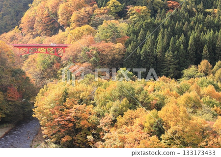 信州松川溪谷高井橋 133173433