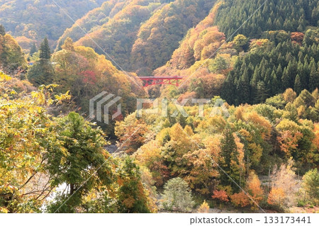 Shinshu Matsukawa Valley Takai Bridge 133173441