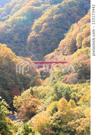 Shinshu Matsukawa Valley Takai Bridge Shinshu Matsukawa Valley Takai Bridge 133173442