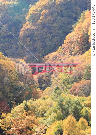 Shinshu Matsukawa Valley Takai Bridge Shinshu Matsukawa Valley Takai Bridge 133173443