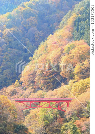 Shinshu Matsukawa Valley Takai Bridge 133173502
