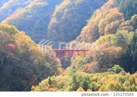 信州松川溪谷高井橋 133173505