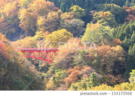 信州松川溪谷高井橋 133173508