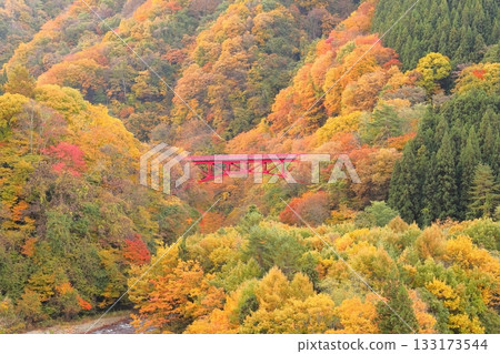 信州松川溪谷高井橋 133173544