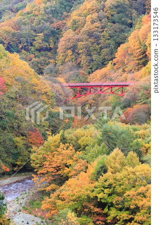 Shinshu Matsukawa Valley Takai Bridge Shinshu Matsukawa Valley Takai Bridge 133173546