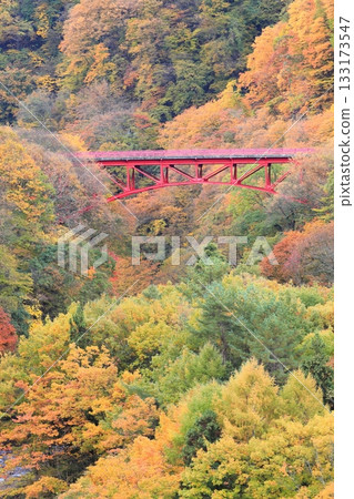 Shinshu Matsukawa Valley Takai Bridge Shinshu Matsukawa Valley Takai Bridge 133173547