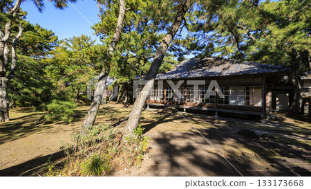 沼津離宮紀念公園的秋天 沼津離宮紀念公園的秋天 133173668