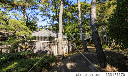 沼津離宮紀念公園的秋天 沼津離宮紀念公園的秋天 133173670