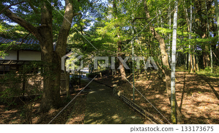 沼津離宮紀念公園的秋天 沼津離宮紀念公園的秋天 133173675