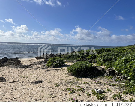 Blue sea and sky, coastline rocks and sandy beach with lush vegetation 133173727