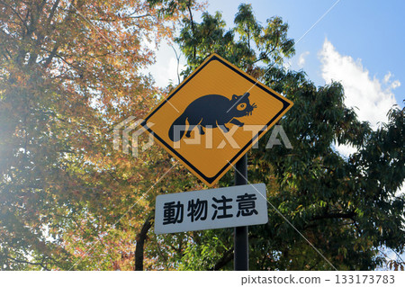 Animal caution sign 133173783