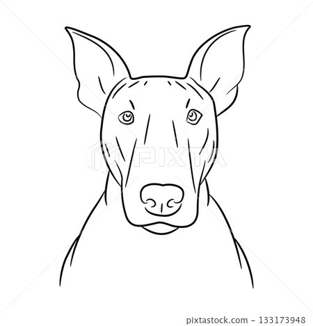head of dog Bull Terrier, sketch of black art brush lines head of dog Bull Terrier, sketch of black art brush lines 133173948