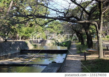 The clear flow of Shukugawa River in autumn (Nishinomiya City, Hyogo Prefecture) The clear flow of Shukugawa River in autumn (Nishinomiya City, Hyogo Prefecture) 133174030
