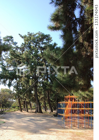 宿川公園(兵庫縣西宮市)擁有色彩繽紛的叢林健身架、滑梯和美麗的松樹林 宿川公園(兵庫縣西宮市)擁有色彩繽紛的叢林健身架、滑梯和美麗的松樹林 133174043