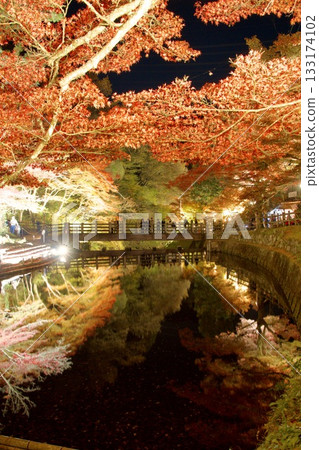 Iwayado Park's illuminated autumn leaves: A fantastical autumn scene reflected on the water's surface 133174102
