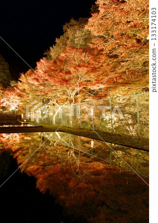 Iwayado Park's illuminated autumn leaves: A fantastical autumn scene reflected on the water's surface Iwayado Park's illuminated autumn leaves: A fantastical autumn scene reflected on the water's surface 133174103