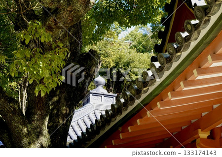 瀧穀不動尊:透過大阪府敦田林市峰樂殿屋簷,遠眺屋頂上的寶石 瀧穀不動尊:透過大阪府敦田林市峰樂殿屋簷,遠眺屋頂上的寶石 133174143