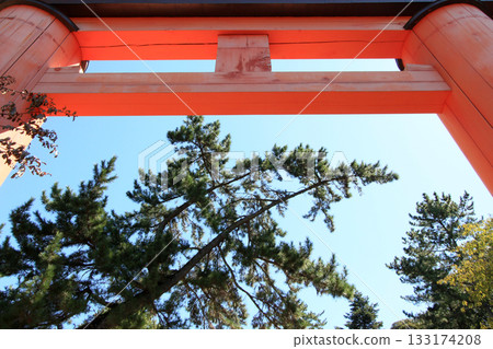 Kasuga Taisha Shrine Torii Kasuga Taisha Shrine Torii 133174208