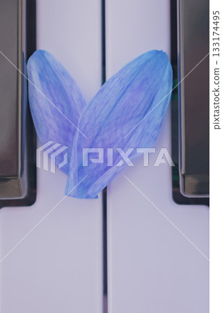 Art of celebration: heart-shaped petals adorn piano keys for greetings and special events Art of celebration: heart-shaped petals adorn piano keys for greetings and special events 133174495