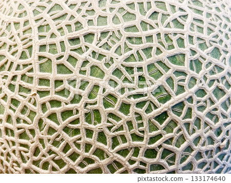 Muskmelon mesh Muskmelon mesh 133174640