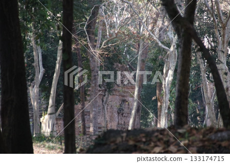 三寶普雷庫克神社 三寶普雷庫克神社 133174715