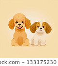 Goods design: Cute dog illustration: Toy poodle 133175230