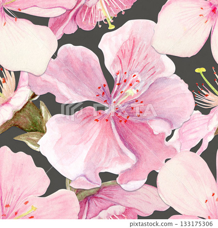 Sakura flowers seamless pattern watercolor, pink tones, hand-painted in natural botanical style isolated on grey background. Perfect for wedding invitations, spring cards, packaging, textile design. Sakura flowers seamless pattern watercolor, pink tones, hand-painted in natural botanical style isolated on grey background. Perfect for wedding invitations, spring cards, packaging, textile design. 133175306