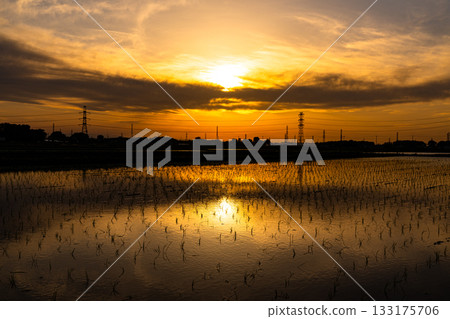 Sunset sky in the paddy fields Sunset sky in the paddy fields 133175706