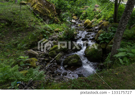 A thin, wooded river in Georgia 133175727