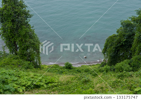 View of the Black Sea from a height down. The seashore 133175747