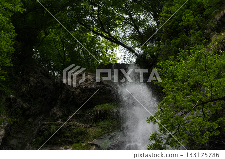 A small waterfall in the forest in the mountains of Georgia A small waterfall in the forest in the mountains of Georgia 133175786