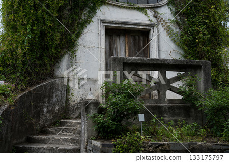 The old house in the garden is overgrown with vines. Botanical Garden in Georgia 133175797
