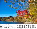 Late autumn scenery of Lake Onuma 133175861