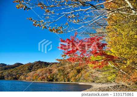 大沼湖的深秋景色 133175861