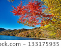 Colorful late autumn at Lake Akagi-Onuma 133175935