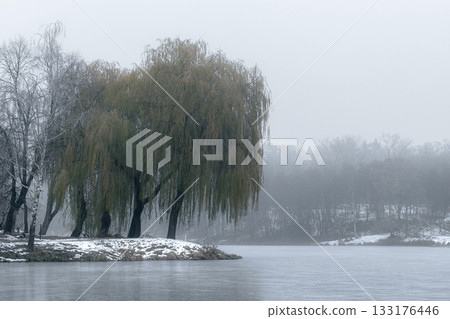 Misty Winter Lake with Bare Trees and Willows 133176446