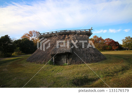 修復的坑居 133176579