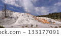 Mammoth hot springs in Yellowstone National Park, Wyoming 133177091