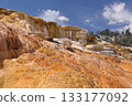 Mammoth hot springs in Yellowstone National Park, Wyoming 133177092