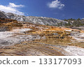 Mammoth hot springs in Yellowstone National Park, Wyoming 133177093