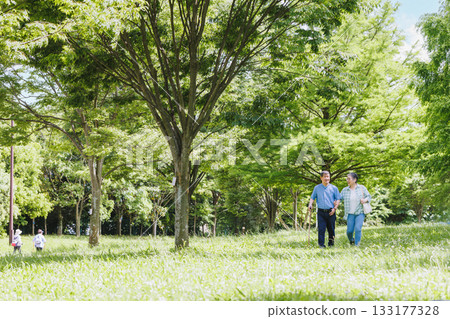Senior couple taking a walk in the fresh greenery 133177328