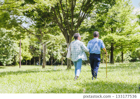 一對老年夫婦在綠樹成蔭的環境中散步 一對老年夫婦在綠樹成蔭的環境中散步 133177536