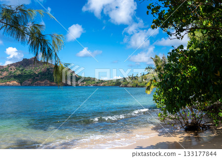 Anaho Bay and beach with palm trees, Nuku Hiva, French Polynesia Anaho Bay and beach with palm trees, Nuku Hiva, French Polynesia 133177844
