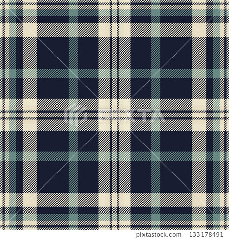 Teenager fabric tartan pattern, outfit check vector texture. Teen plaid background textile seamless in light and dark colors. 133178491