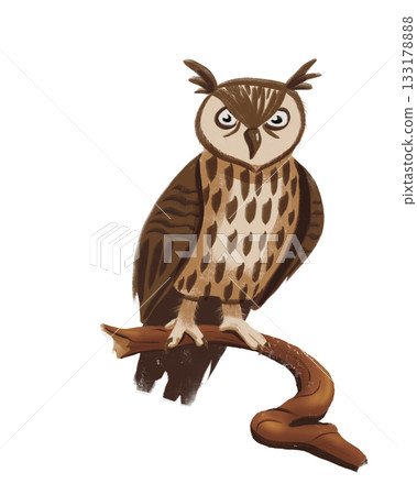 A digital PNG image featuring Halloween, Magic, and Day of the Dead. owl on a branch A digital PNG image featuring Halloween, Magic, and Day of the Dead. owl on a branch 133178888