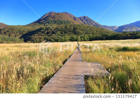 [Oita Prefecture] Tadewara Marsh and the autumn foliage of the Kuju Mountains as seen from Chojabara Park 133179427